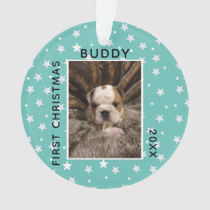 Photo de Chien Chien Chien Chien Chien De Noël