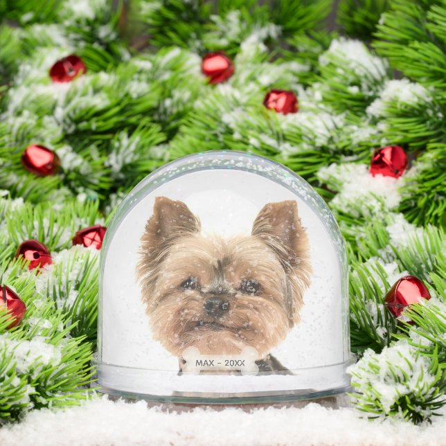 Photo de chien de Terrier Yorkshire d'or personnal (Noël)