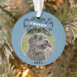 Photo de chien Elegant ruban Pet personnalisé