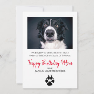 Photo de chien Joyeux Anniversaire Carte de maman 