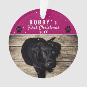Photo de chien mignon de Noël Paw Purple Chien