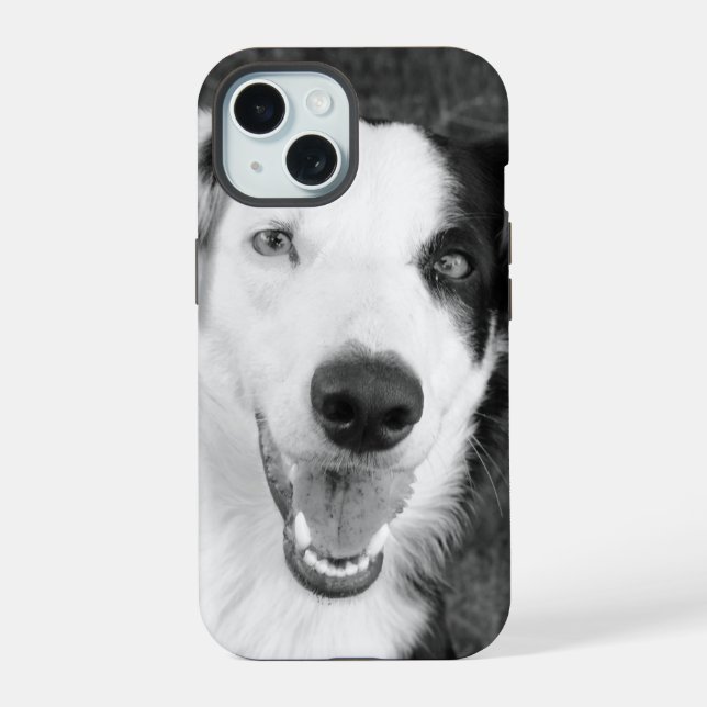 Photo de chien noir et blanc Personnalisable (Verso)