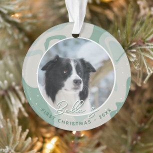Photo de chiot Border Collie pour son premier Noël