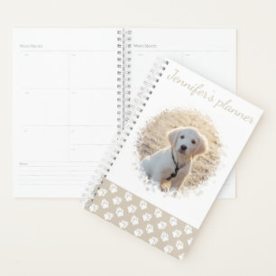 Photo de compagnie personnalisée et pattes beige e