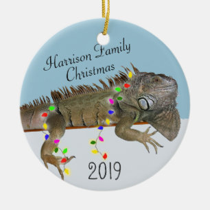 Photo de famille Iguana Ornement de Noël