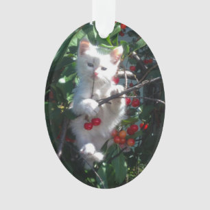 Photo de famille souvenir de chat
