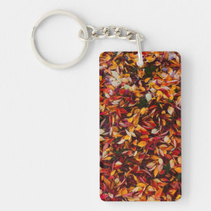 Photo de feuilles de feuillage de couleur d'automn