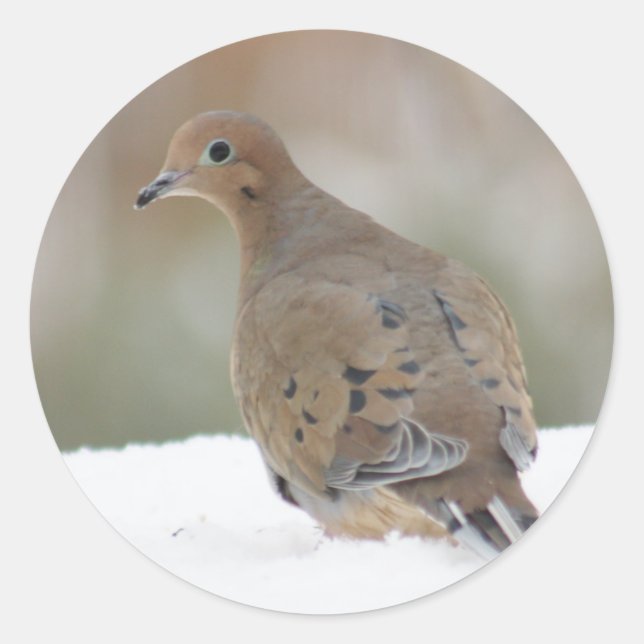 Photo de la colombe en deuil sur Stickers Rond Per (Devant)