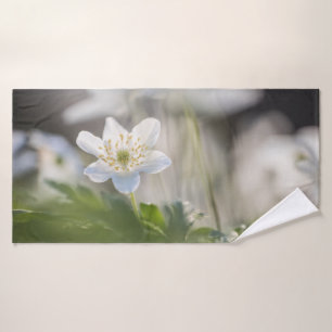 Photo de la nature de la fleur
