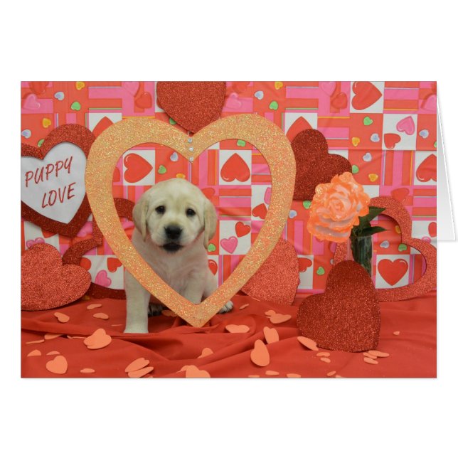 Photo de la semaine 6 de bourrasque (Devant horizontal)