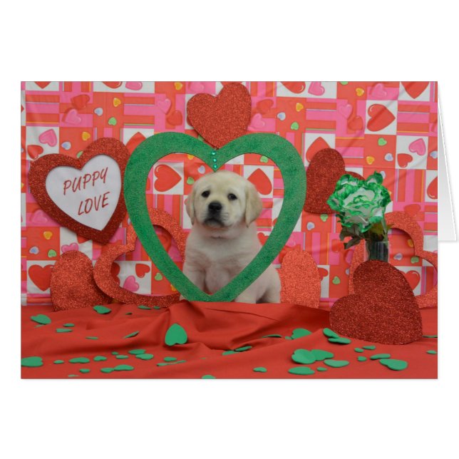 Photo de la semaine 6 de tornade (Devant horizontal)