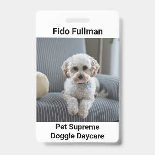 Photo de l'animal avec nom et badge de garderie po