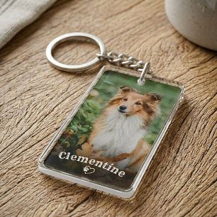Photo de l'animal de compagnie Chien Amoureux Empr