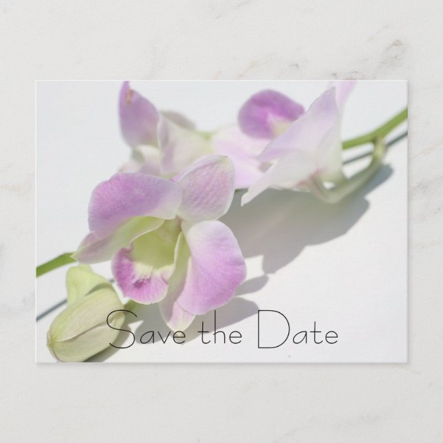 Photo de l'orchidée Enregistrer la carte postale D (Devant)