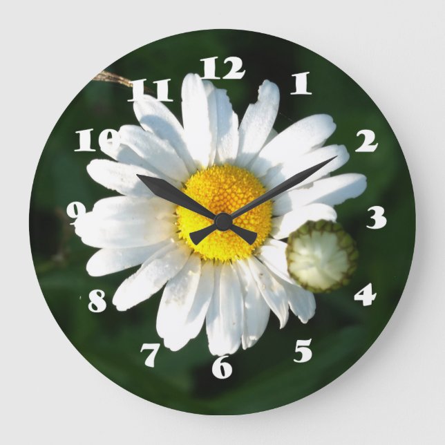 Photo de marguerite blanche Horloge murale (Recto)