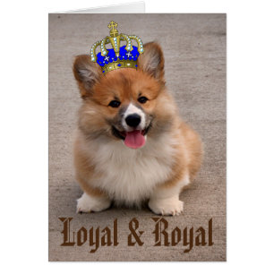 Photo de marionnette Loyal et Royal Corgi