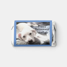 Photo de mignon Chien de Chien blanc reposant avec