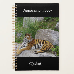 Photo de portrait d'un tigre sibérien