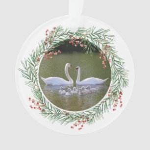 Photo de Swan avec cadre à baies vitrées