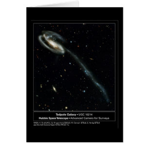 Photo de télescope de Hubble de galaxie de têtard