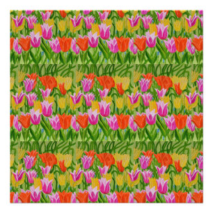 Photo de tulipes