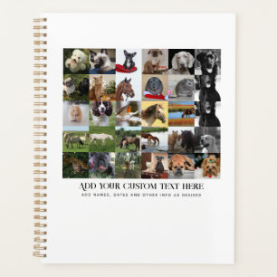 PHOTO DONNE MODÈLE FAMILLE AMIS ANIMAUX ANIMAUX PE