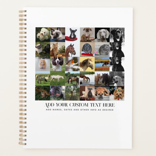 PHOTO DONNE MODÈLE FAMILLE AMIS ANIMAUX ANIMAUX PE (Devant)