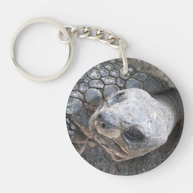 Photo d'un visage de tortue sur un porte - clé (Devant)