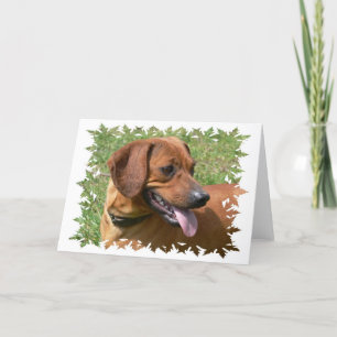 Photo d'une carte de voeux pour chien de Dachshund
