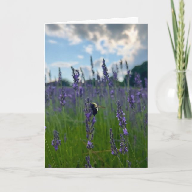 Photo d'une Fleur de la Nouvelle-Angleterre Carte  (Devant)