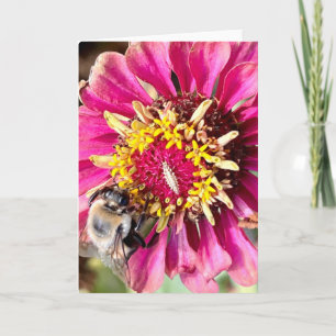 Photo d'une Fleur de Nouvelle-Angleterre Carte de 