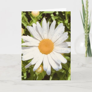 Photo d'une Fleur de Nouvelle-Angleterre Carte de