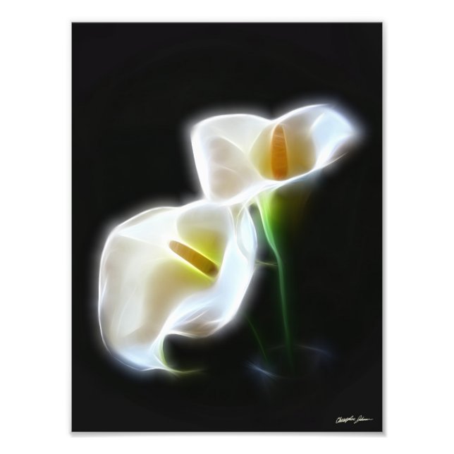 Photo Elégante Calla Lily Flowers 13 Impression moderne (Devant)