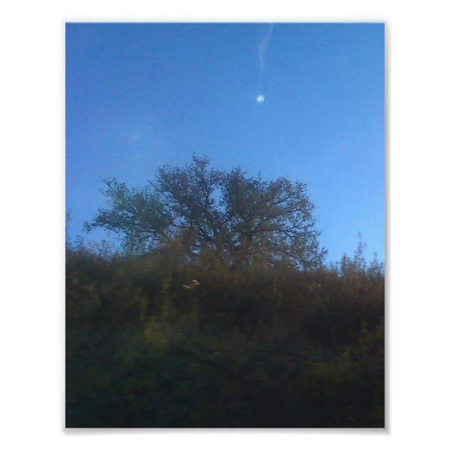 Photo Enlargement (Devant)