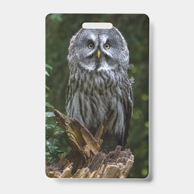 Photo Enlargement Ausweis (Front)