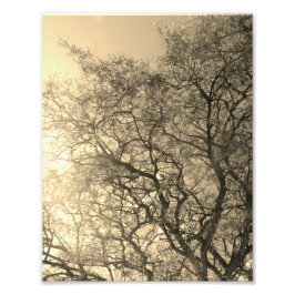 Photo Enlargement Fotodruck