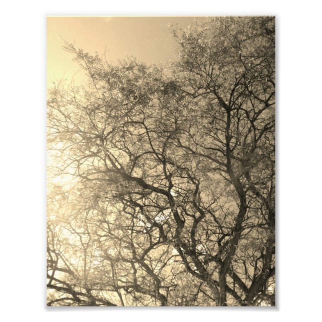 Photo Enlargement Fotodruck (Vorne)