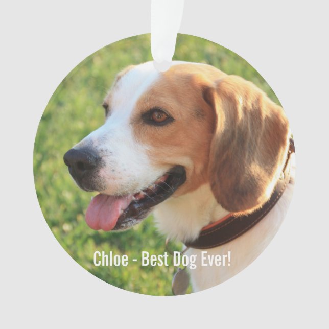 Photo et nom du chien Beagle personnalisé (devant)
