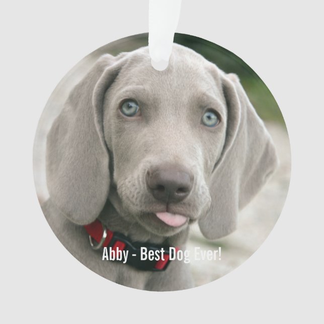 Photo et nom du chien Weimaraner personnalisé (devant)