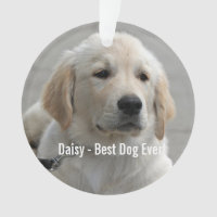 Photo et nom personnalisés Golden Retriever Dog
