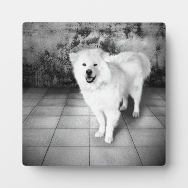 Photo Faithful Love Plaque (Devant)