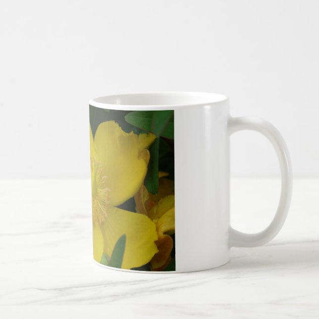 Photo Fleur Jaune Classique Mug Blanc (Droite)