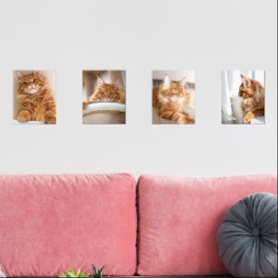 Photo Four Family Cat 8x10