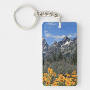 Photo Grand Teton Springtime Souvenir