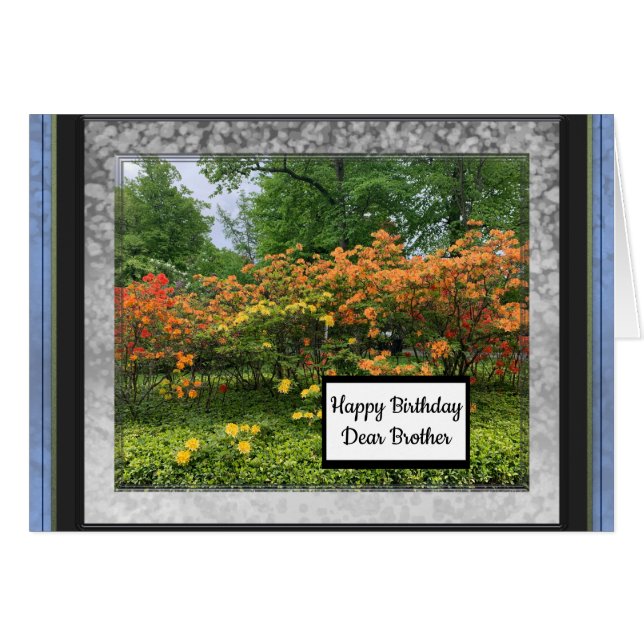 Photo Images pour la carte d'anniversaire de mon f (Devant horizontal)