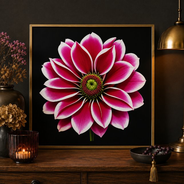Photo Impression d'art fine de la floraison du dahlia ro (Créateur téléchargé)