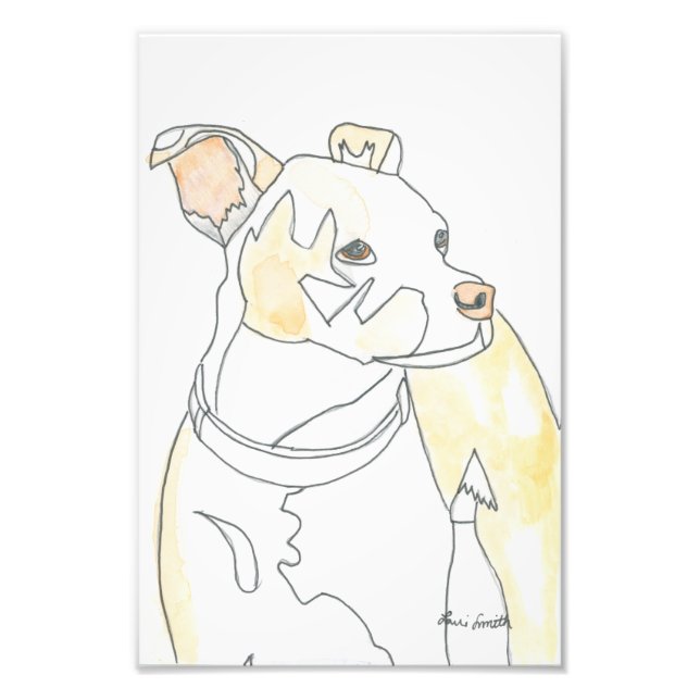 Photo Impression de chiot doré (Devant)