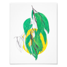 Impression de feuille d'eucalyptus