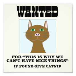 Photo Impression de l'affiche Recherchée de chat