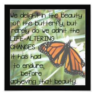 Photo Impression de papillon Inspirationnel